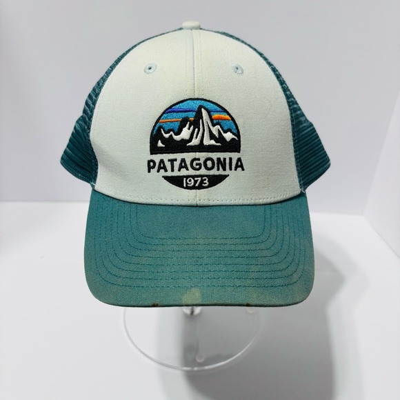 Patagonia Other - Patagonia Green and White Logo Cap